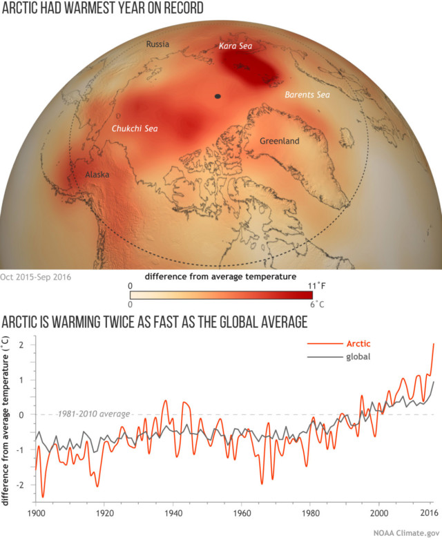 Arctic temperature map