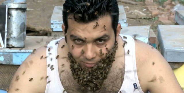 Beekeeper wears endangered species as beard to bring awareness