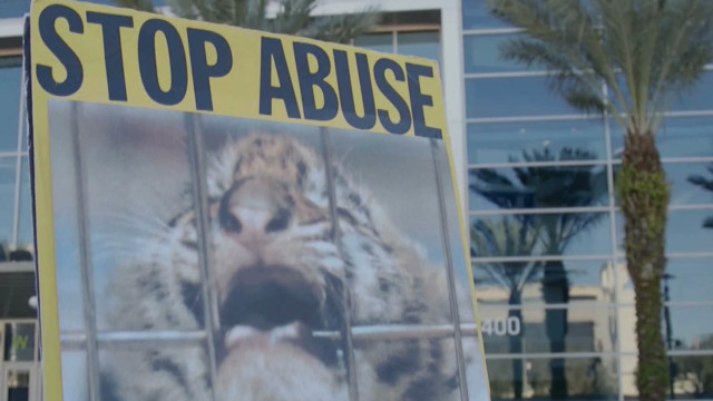 Ringling Bros. circus to shut down due to declining sales, protests