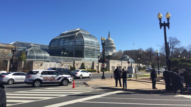 Woman strikes Capitol Police cruiser, taken into custody