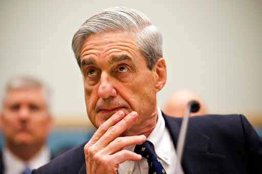 What is a special counsel and what do they do?