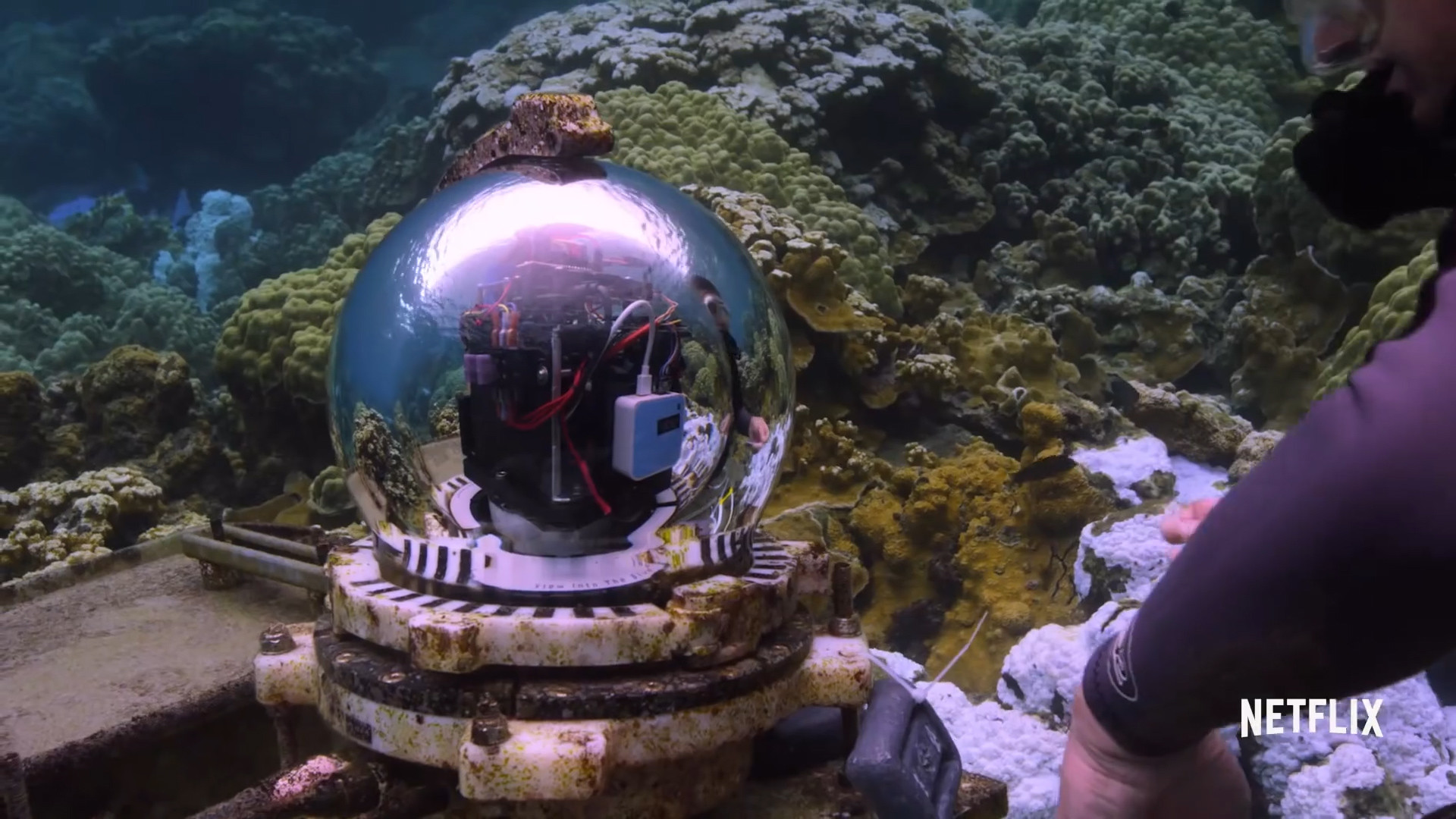 Underwater camera system