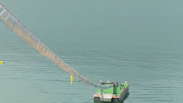 'The Salmon Cannon' sorts and shoots fish over a dam