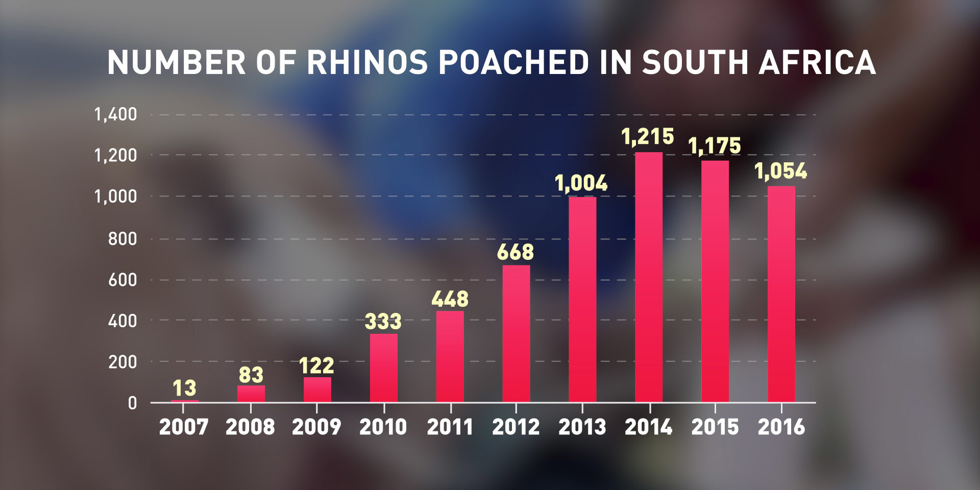 SA Rhino poaching: 2007-2016
