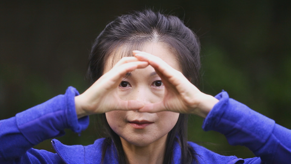 Full Frame Close Up:  Love and Wushu