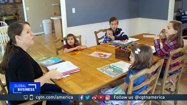 Many US parents choosing home schooling for children
