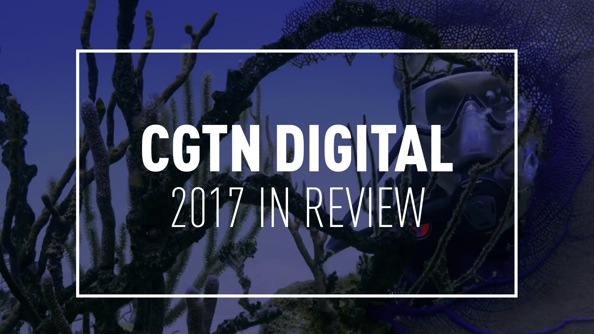 CGTN DIGITAL: 2017 in review