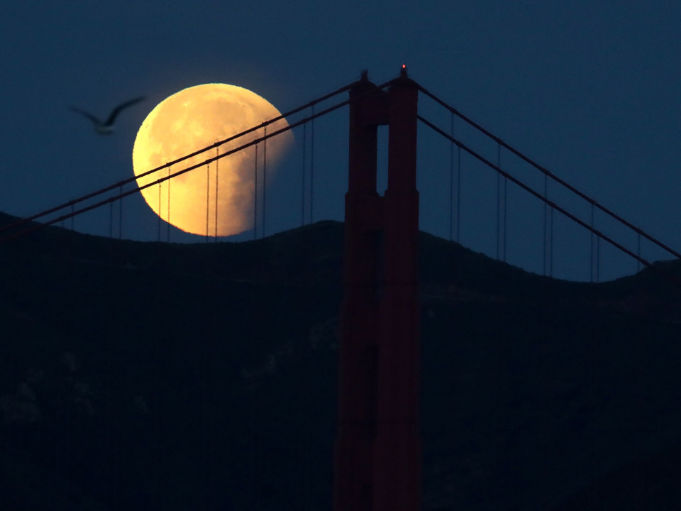 Super Blue Blood Moon, Golden Gate Bridge