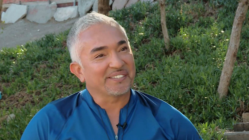 Cesar Millan talks about his journey to becoming the ‘dog whisperer’
