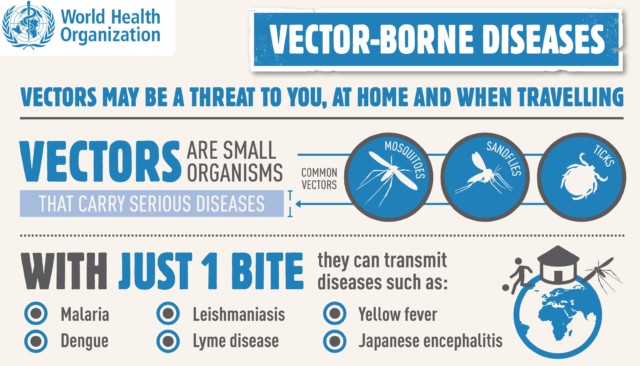 WHO VECTOR BORNE DISEASES DENGUE