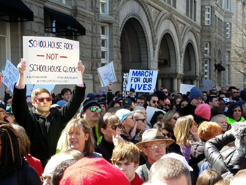 Sights, sounds and signs from the March for our Lives in DC