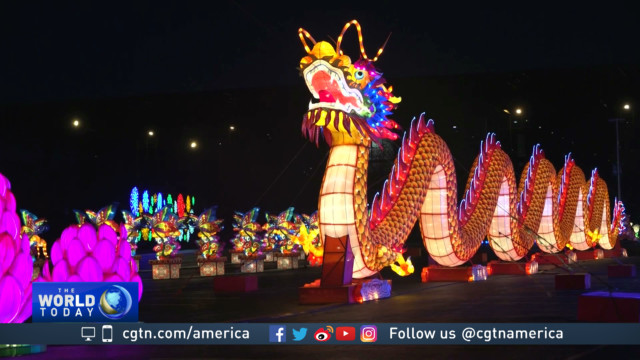 'Dragon Lights' latern festival draws crowds in Chicago