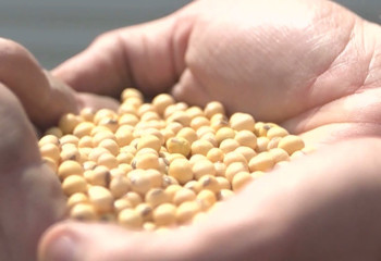 Iowa farmers concerned about effects of proposed U.S. tariffs on China