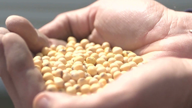 Iowa farmers concerned about effects of proposed U.S. tariffs on China