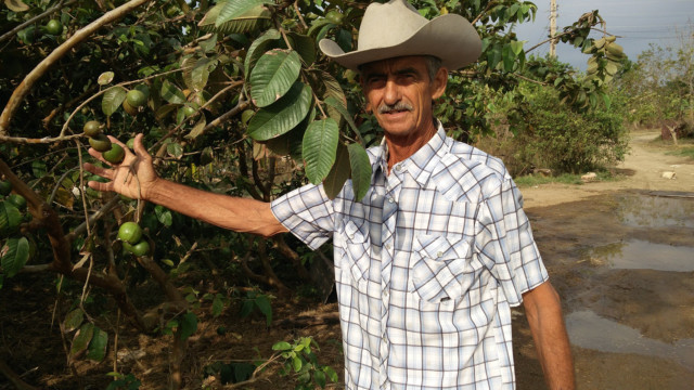 Cuban private farmer Jorge Roble