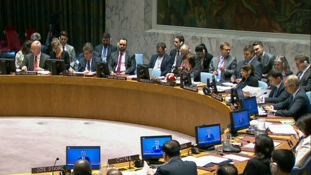 UN Security Council divided over Israel-Gaza crisis.01