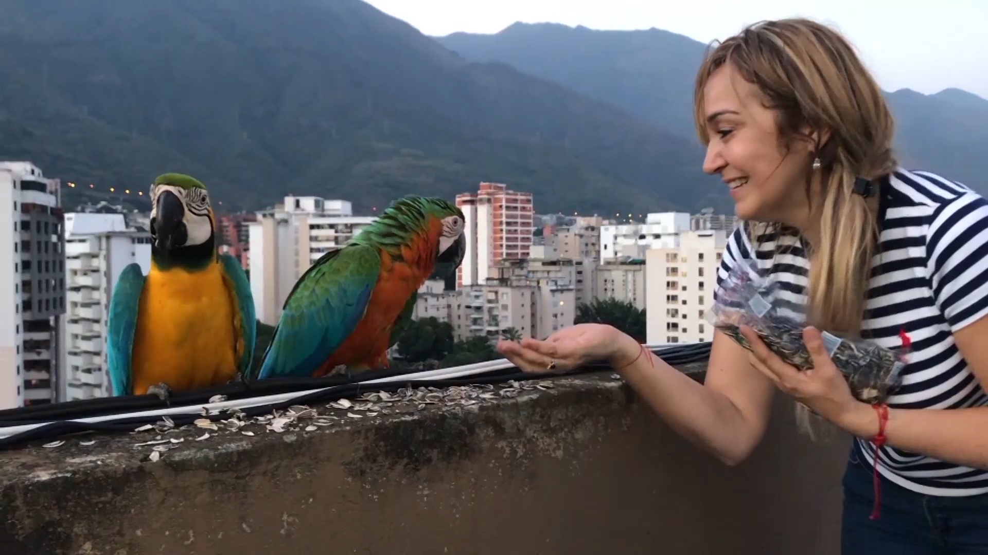 The “Protector of Macaws” has spent 40 years freeing macaws from captivity in Caracas