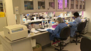 China and Brazil work together to combat infectious diseases
