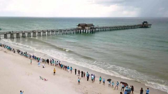Florida's southwest coast hit by toxic 'red tide'