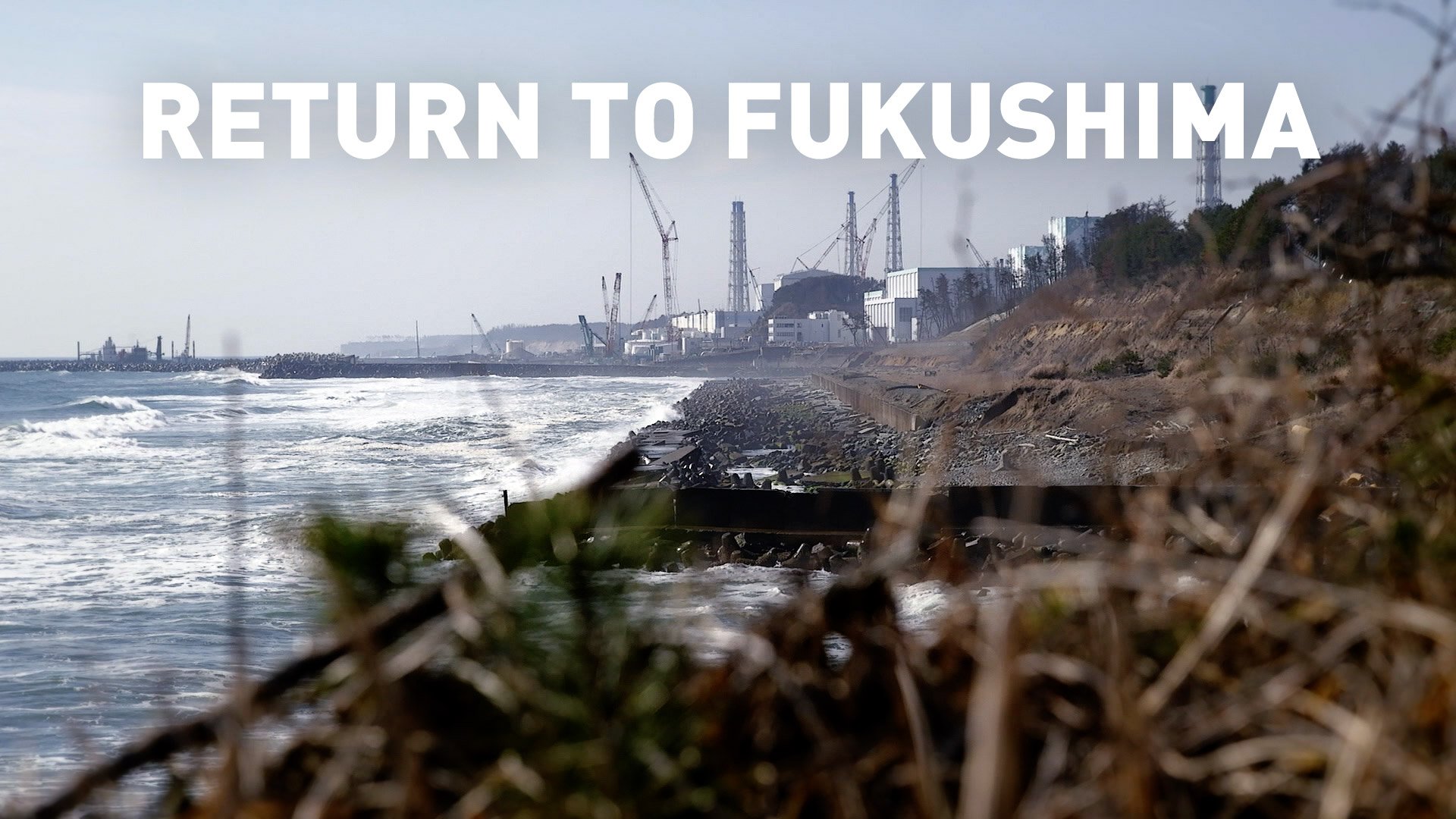 RETURN TO FUKUSHIMA