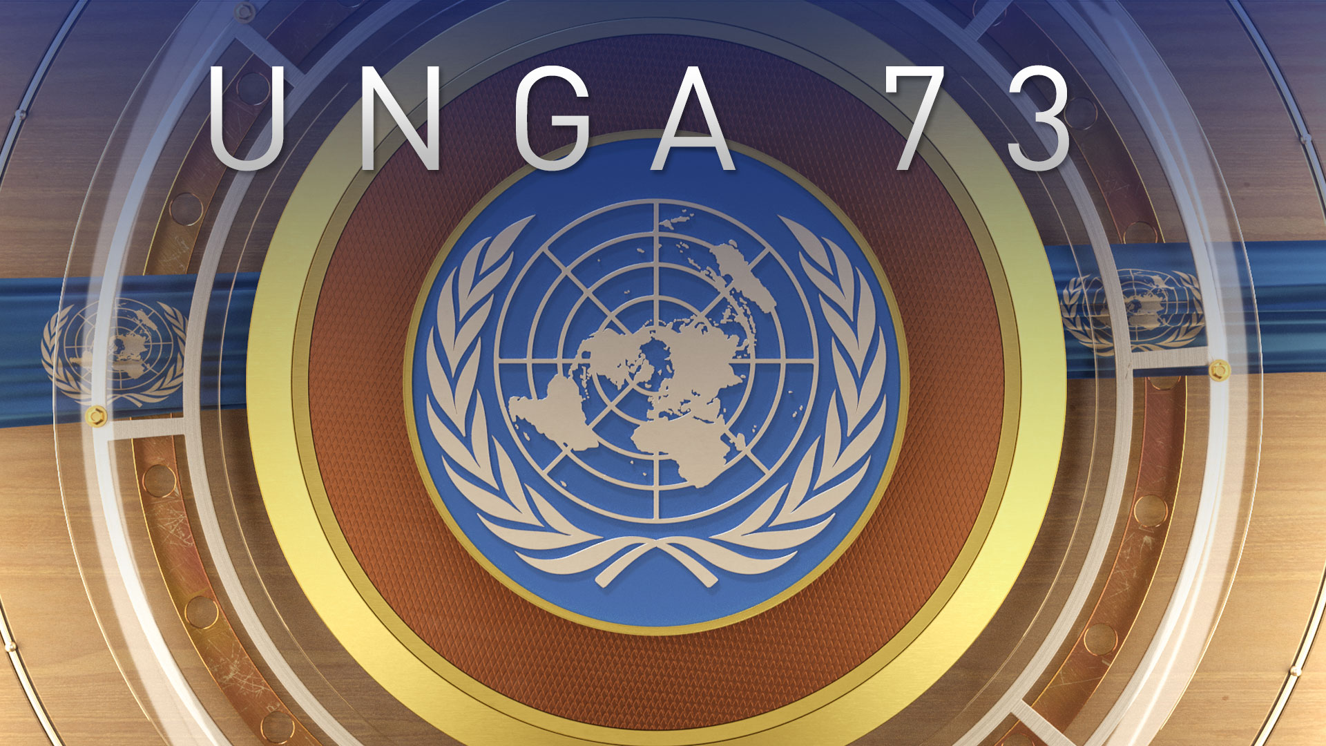The United Nations General Assembly 73