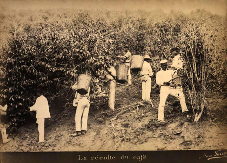 19th century photo of slaves in the field