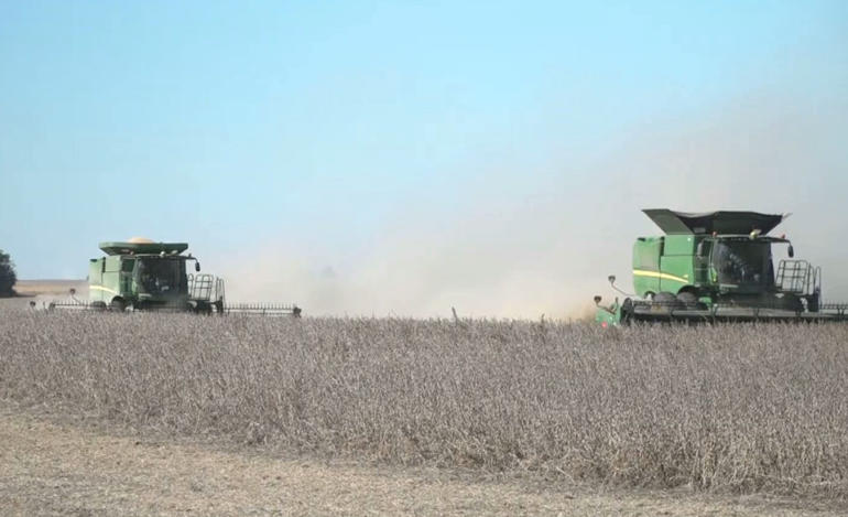 US-China trade war sows seeds of concern for American farmers at harvest time