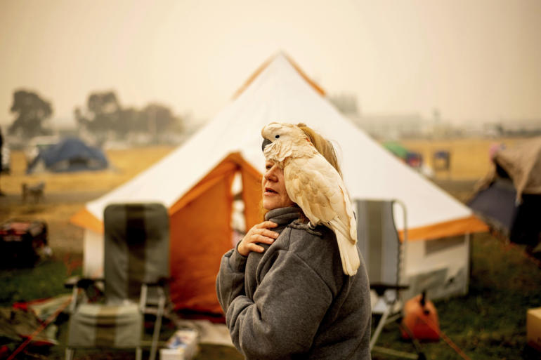 an evacuee of the Camp Fire, and her cockatoo Buddy camp at a makeshift shelter outside a Walmart