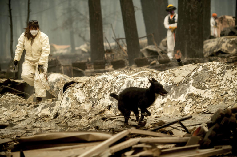 Search and rescue workers look for bodies of Camp Fire victims