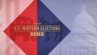 US Midterm Elections