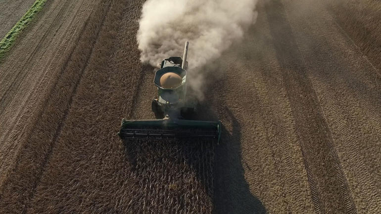 A combine harvester in action harvesting soybeans