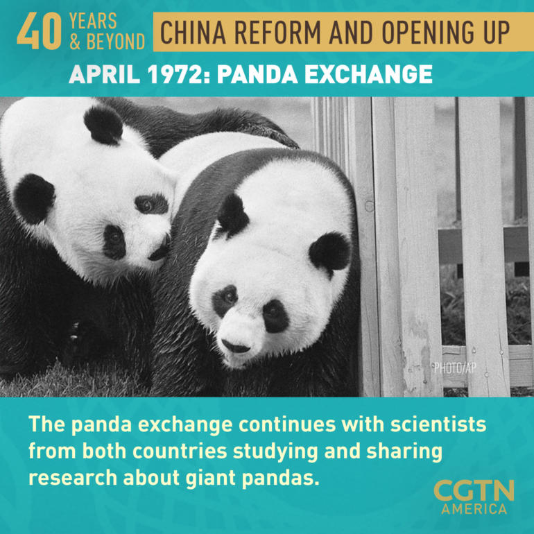Panda Exchange 3