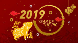 Spring Festival 2019: Year of the Pig