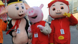 Five famous pigs in China