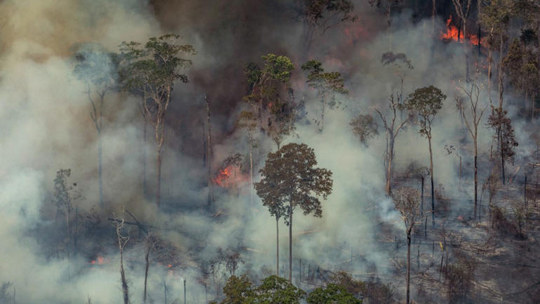 BRAZIL-FIRE-DEFORESTATION-AMAZON