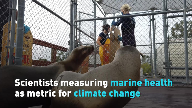 Scientists measuring marine health as metric for climate change