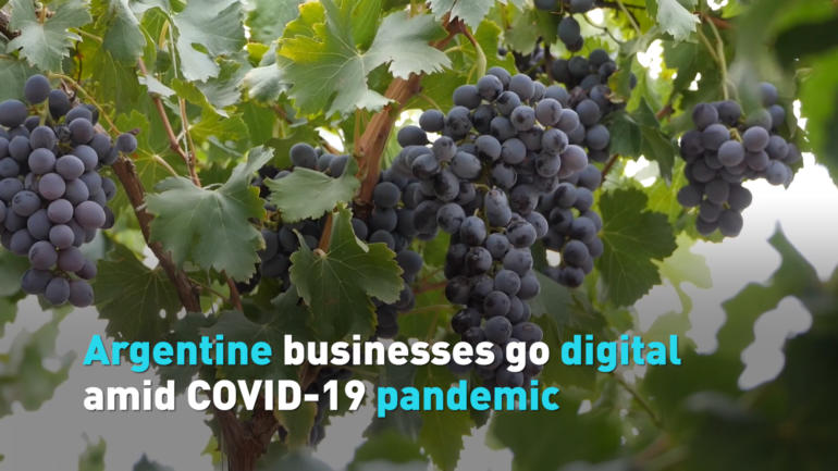 Argentine businesses go digital amid COVID-19 pandemic