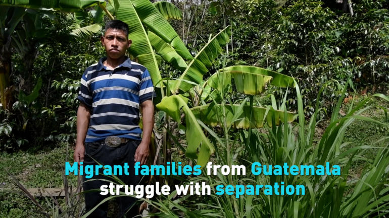 Migrant families from Guatemala struggle with separation