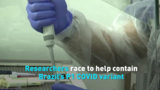Researchers race to help contain Brazil’s P1 COVID variant