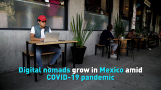 Digital nomads grow in Mexico amid COVID-19 pandemic
