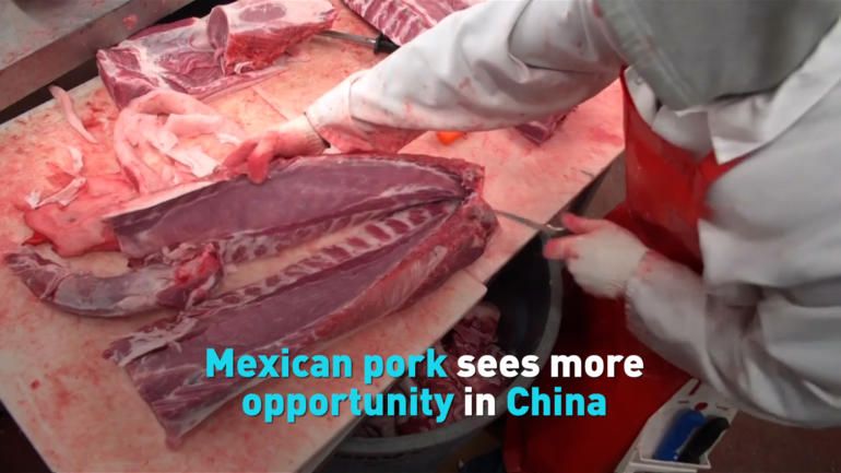 Mexican pork sees more opportunity in China