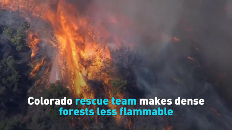 Colorado rescue team makes dense forests less flammable