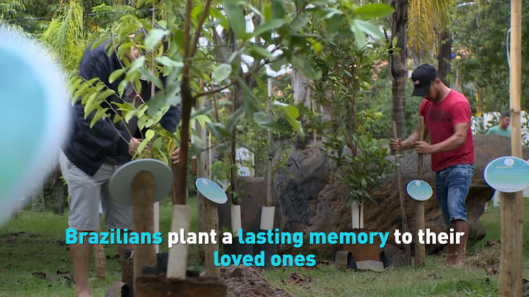 Brazilians plant a lasting memory to their loved ones