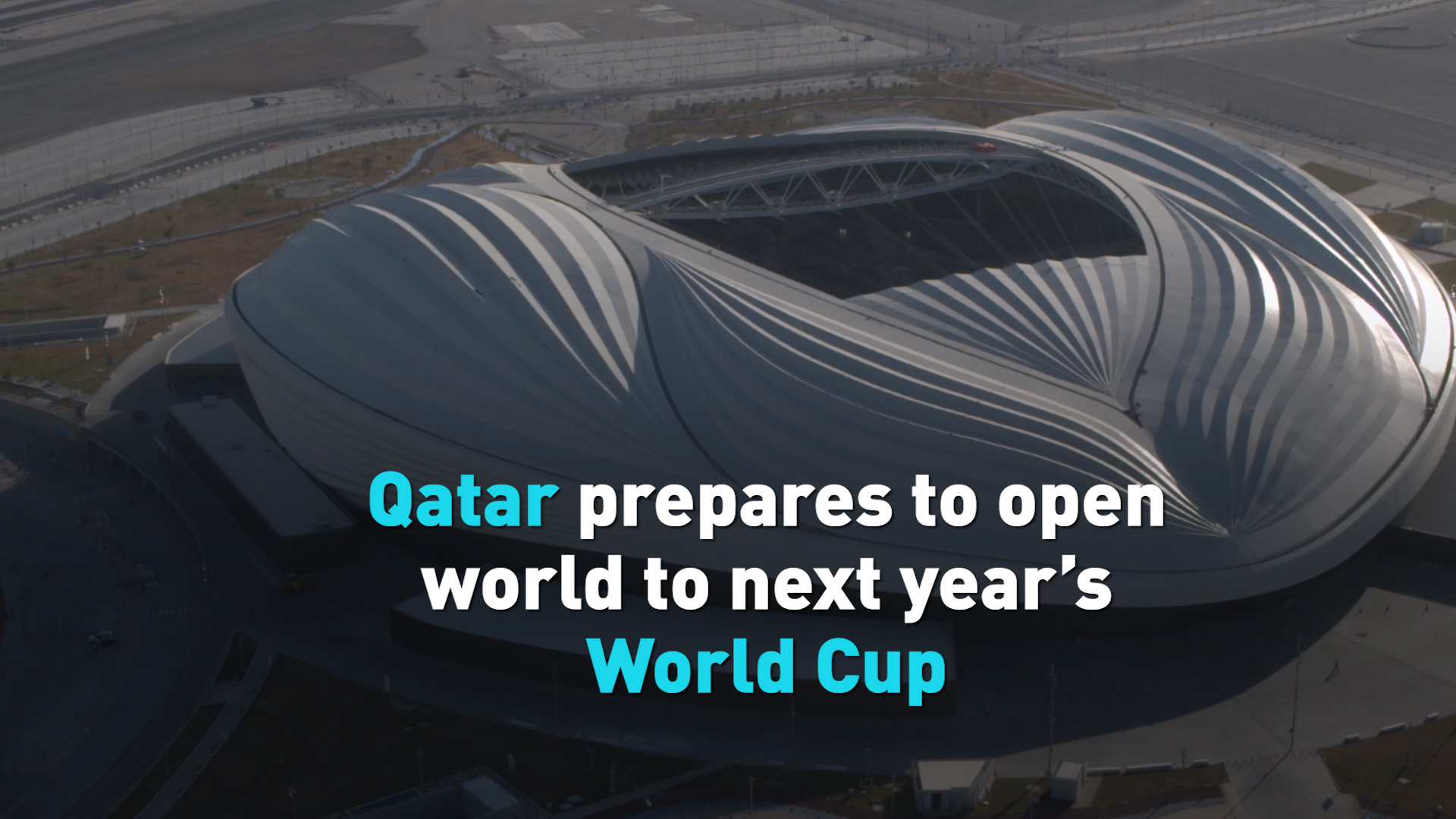 open day qatar world cup