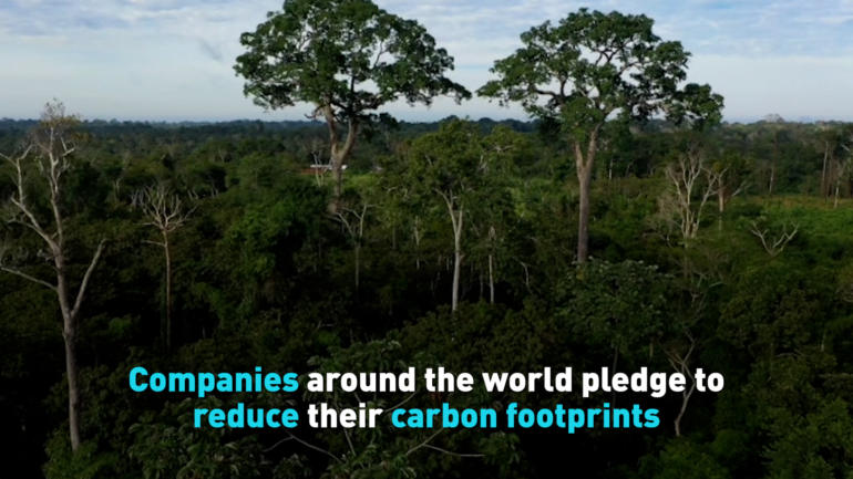 Companies around the world pledge to reduce their carbon footprints
