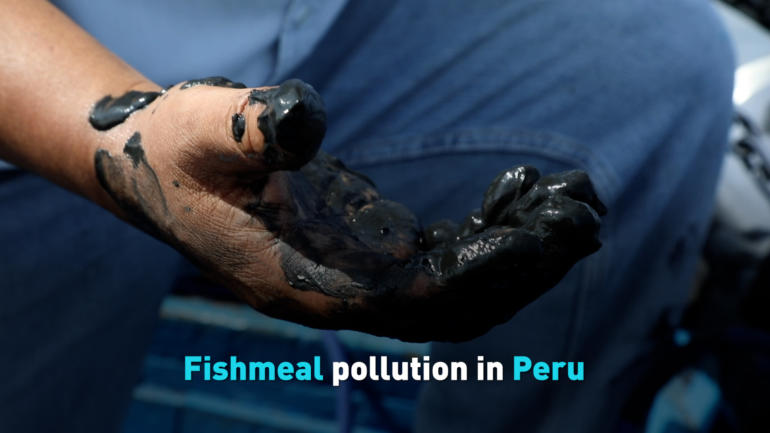 Fishmeal pollution in Peru