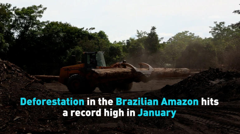 Deforestation in the Brazilian Amazon hits a record high in January