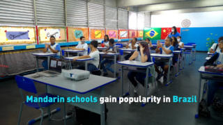 Mandarin schools gain popularity in Brazil
