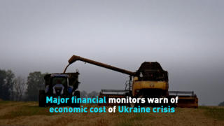 Major financial monitors warn of economic cost of Ukraine crisis