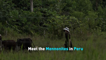 Meet the Mennonites in Peru